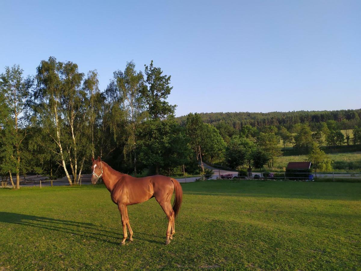 Statek Cesky Dvur Postupice Exterior foto
